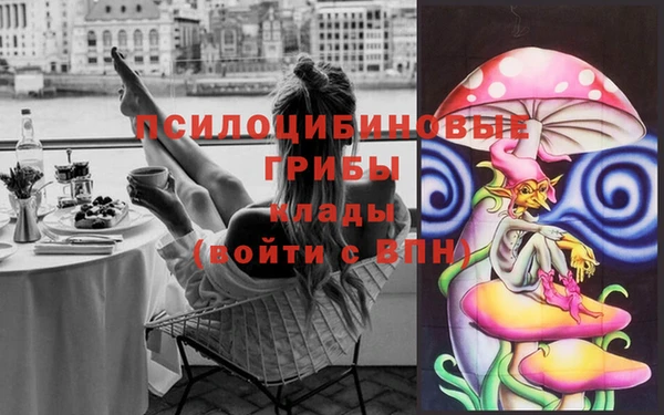 таблы Пересвет